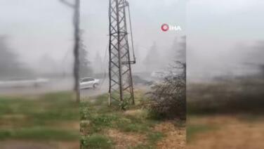 erbaada yagmur ve firtina agaci devirdi 8ALgg1yK