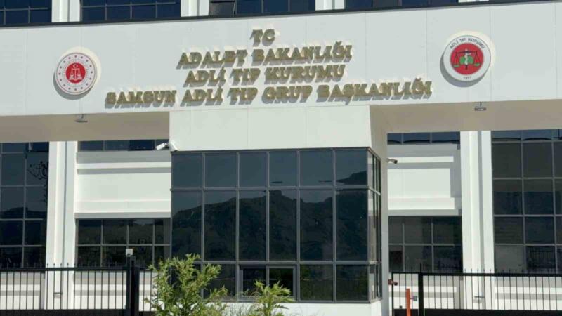 ihlamur agacindan dusen yasli adam hayatini kaybetti nI5DbKOH