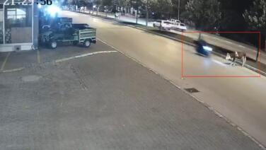 motosikletle buyukbas hayvana carpti DJfDnwIX