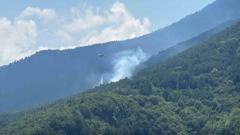 ormanlik alanda cikan yangina havadan ve karadan mudahale sYHqnzmj