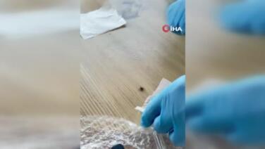 togulu bilim adami keneye karsi dogal kalkan gelistirdi YgSIzqlH