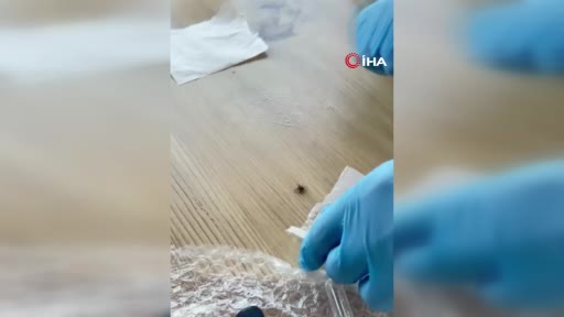 togulu bilim adami keneye karsi dogal kalkan gelistirdi YgSIzqlH