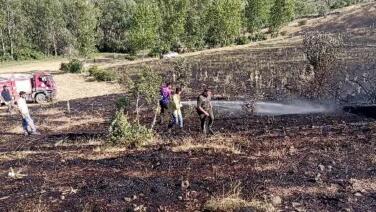 tokatta ortu yangini 15 donum ekili arazi kule dondu LUSwdx9b