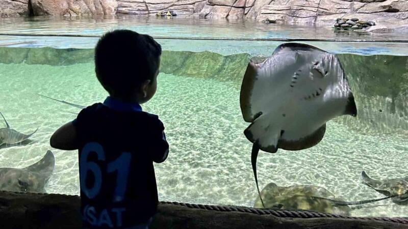 tunel akvaryum turistlerin gozdesi oldu WhYWViyD