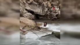 uzungolde haldizen deresinde can pazari PKElcRSN