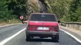 AW773749 01