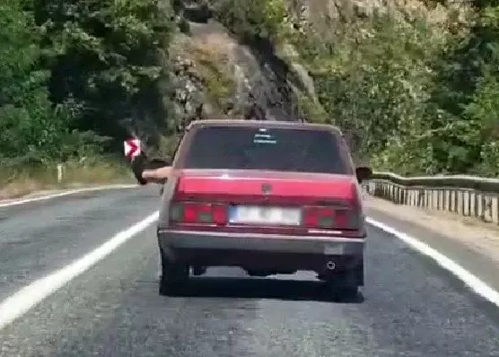 AW773749 01