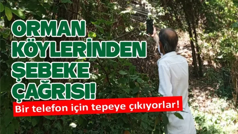 WhatsApp Image 2026 08 20 at 10.55.09