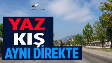 YZZ
