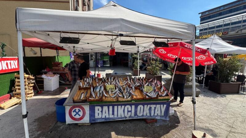 balikci esnafindan yeni sezon mujdesi bu sene denizden balik fiskiracak JUmbxCrB