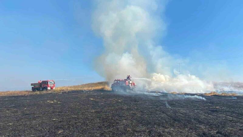boluda elektrik direginden cikan yanginda 8 dekar alan zarar gordu JqdEsids
