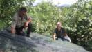 devlet destegi ile file sistemine gectiler findikta iscilik maliyetini yuzde 80 azalttilar QO3T6hxi
