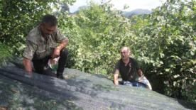 devlet destegi ile file sistemine gectiler findikta iscilik maliyetini yuzde 80 azalttilar QO3T6hxi