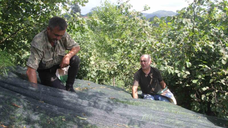 devlet destegi ile file sistemine gectiler findikta iscilik maliyetini yuzde 80 azalttilar QO3T6hxi