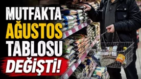 f7331603 d5fa 4335 82e2 714906dc15a3