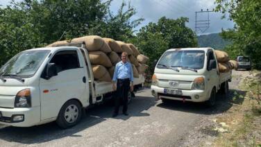findik tuccarindan ureticiye kritik uyari dalindan toplamayin yere dokulmesini bekleyin 9sdigPUh