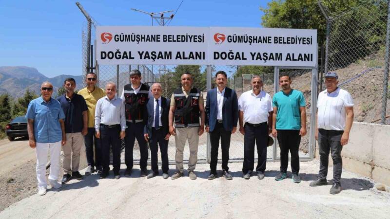 gumushanede sokak hayvanlari icin dogal yasam alani acildi JkmMurcQ