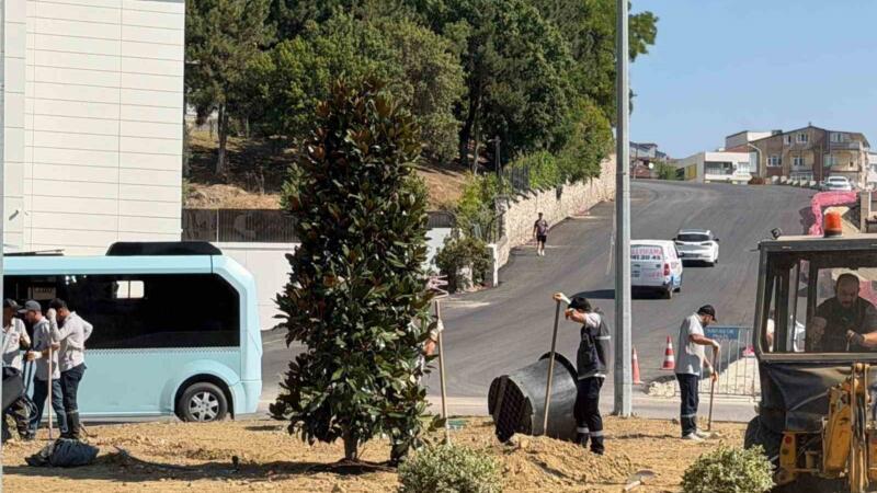 karabukte 200 agac ve sus bitkisi toprakla bulusuyor PFOF9dRv