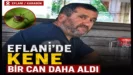 kenecan