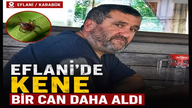 kenecan