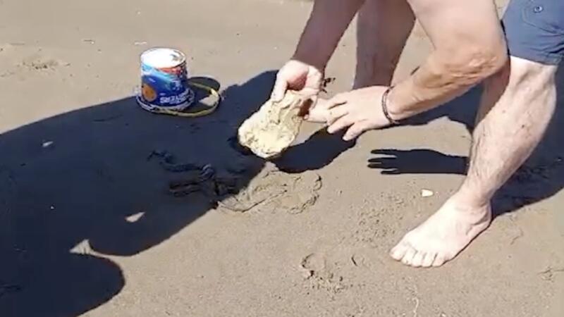plajda gorulen yilan vatandaslara panik yasatti Zbkci6Cf