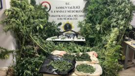 polis havadan iz surdu tutunlerin arasinda 502 kok kenevir ele gecti UNdYvrTA