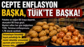 tuik kopya 2