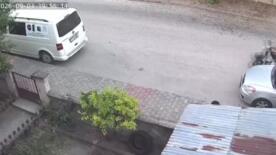 yavru kediyi once opup sonra bogmustu gozaltina alindi Ju7Zlrqd