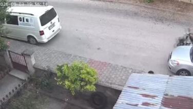 yavru kediyi once opup sonra bogmustu gozaltina alindi Ju7Zlrqd