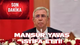 03713c55 03c0 4d7f 92e1 6c13cc7e3cc6