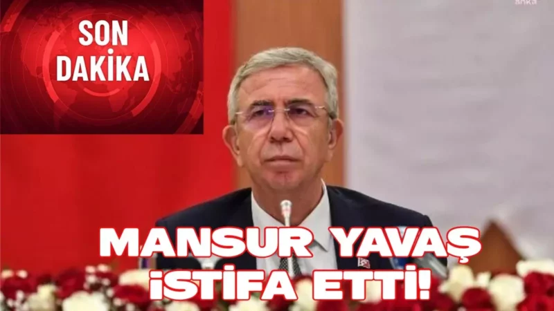 03713c55 03c0 4d7f 92e1 6c13cc7e3cc6