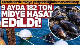 5408866e be10 4111 b5a7 09b2a4385e67