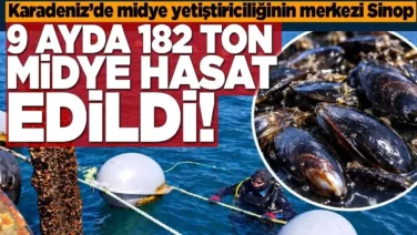 5408866e be10 4111 b5a7 09b2a4385e67
