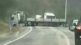 AW788287 01