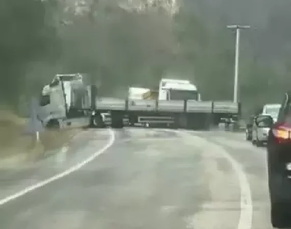 AW788287 01
