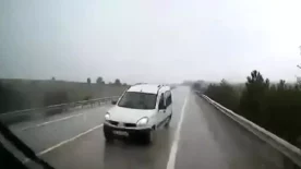 AW798661 01