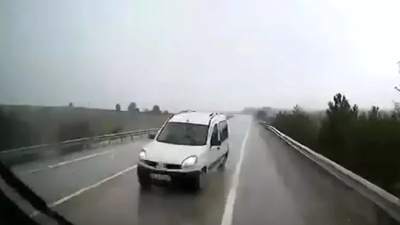 AW798661 01