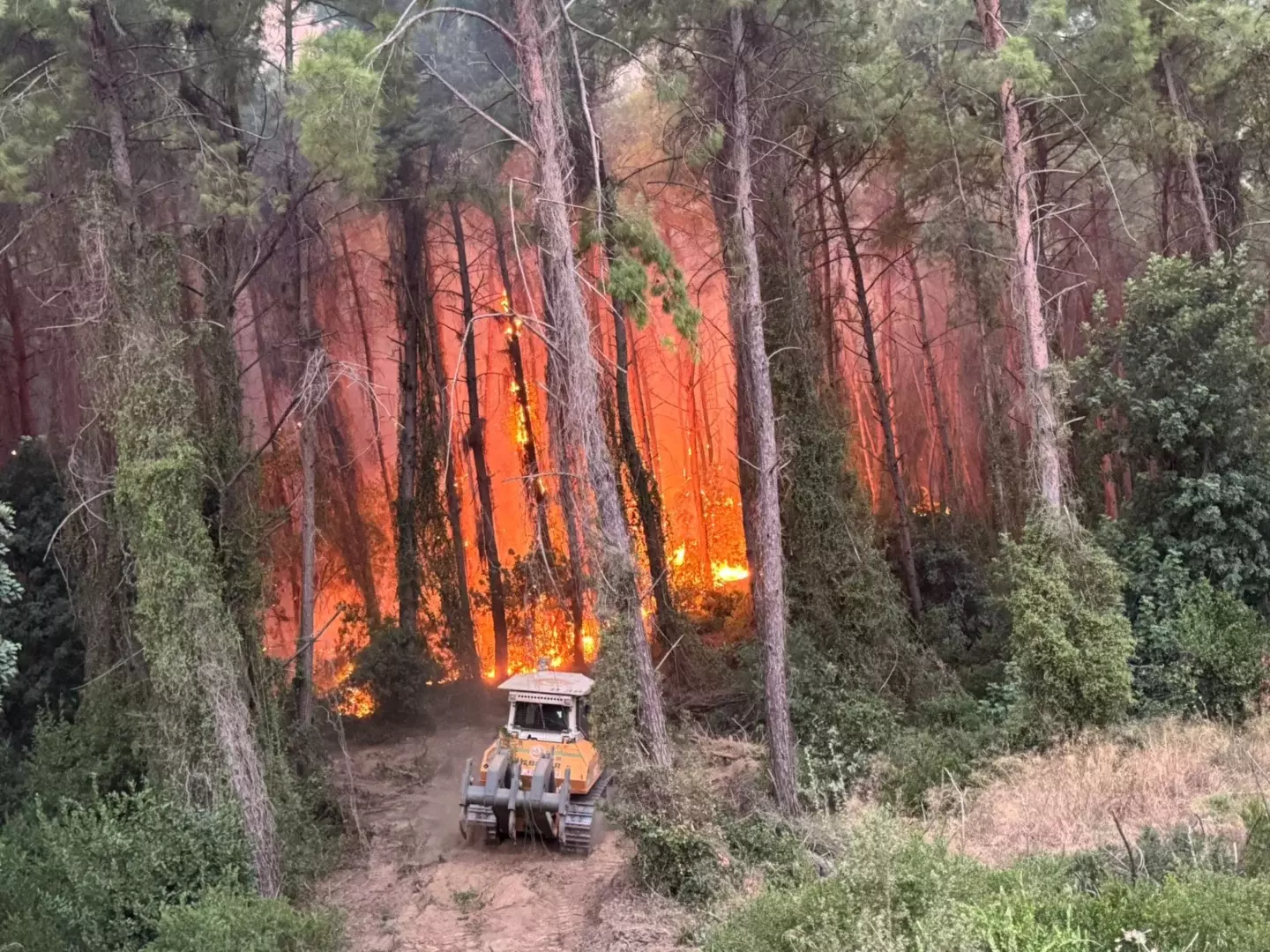 KBÜ’den yangın sonrası ekonomik kayıpları önleyecek TÜBİTAK projesi 1 KBUden yangin sonrasi ekonomik kayiplari onleyecek TUBITAK projesi2