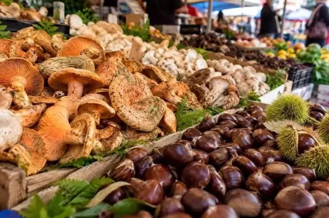 Mantar ve kestane tezgaha indi