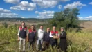 Organik Aronya hasadi devam ediyor