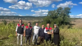 Organik Aronya hasadi devam ediyor