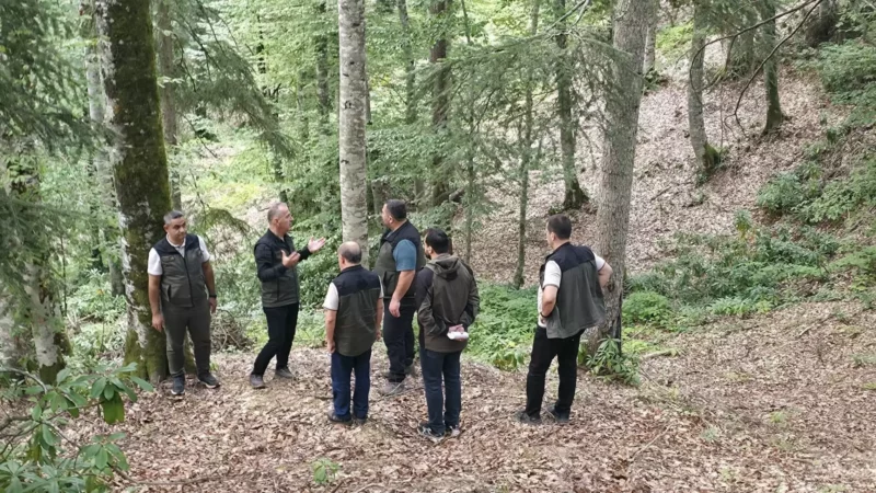 Safranboluda ormancilik calismalari yerinde incelendi