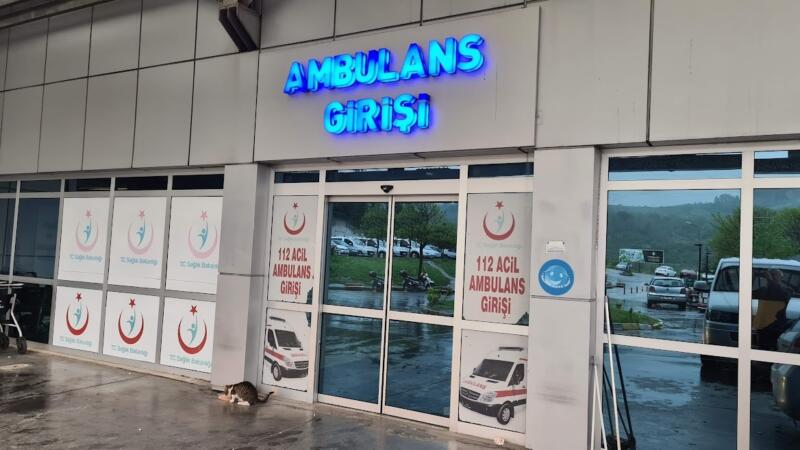 agactan dusen adam merdiveni tutan kisiyi de yaraladi v2gjgn3I