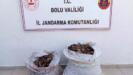boluda kacak salyangoz operasyonu 2 sahis jandarmaya yakalandi cRpHyO4I