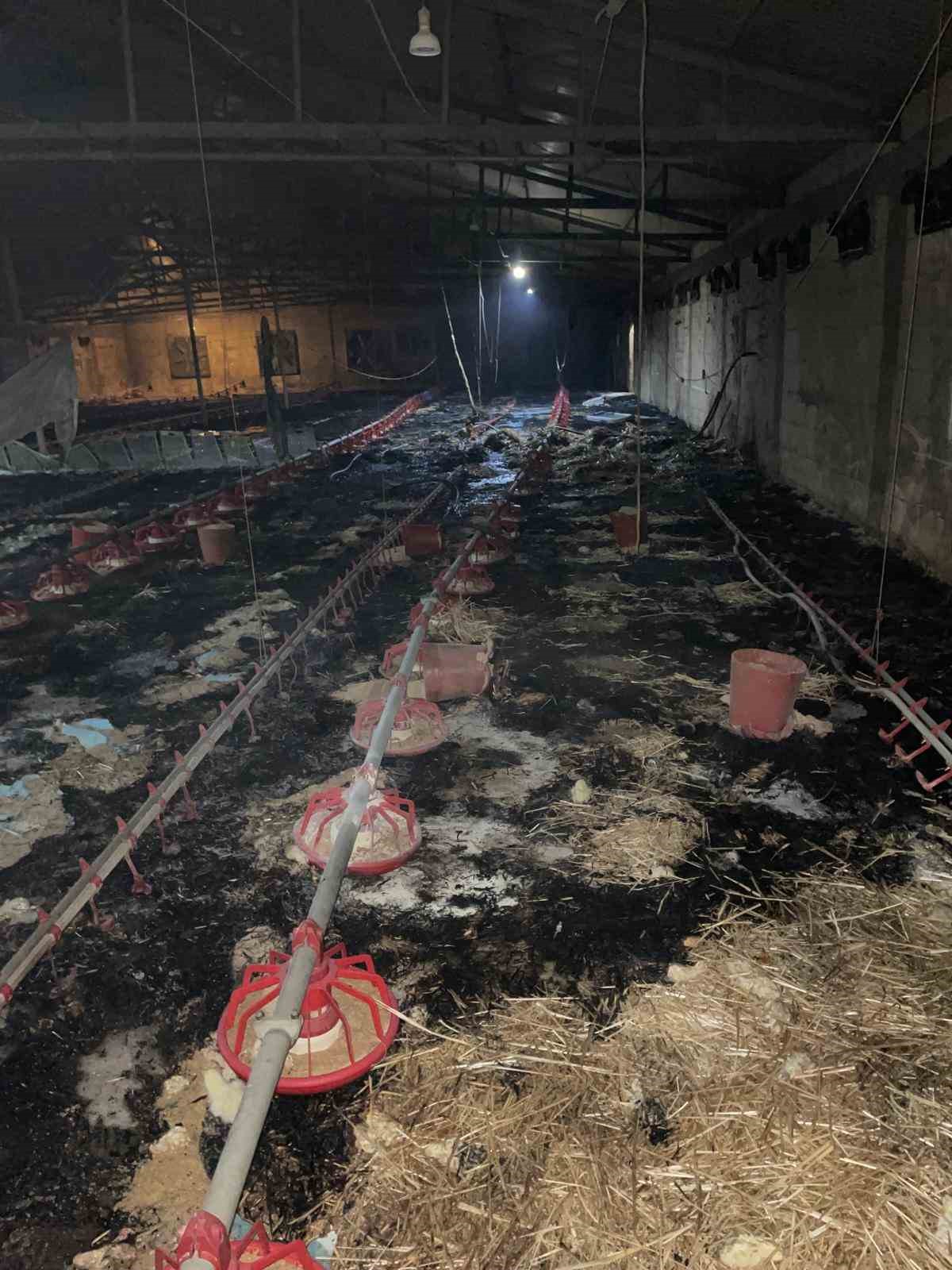 boluda kumes yangini 24 bin civciv telef oldu bQNPSD3Q