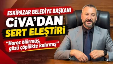 d 3