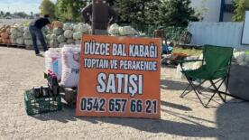 duzce kabaginin unu ulke sinirlari asti rsNWShEV