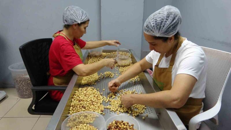 gurbetciler findigini emanete birakmak yerine mamule donusturuyor TbiVCacN