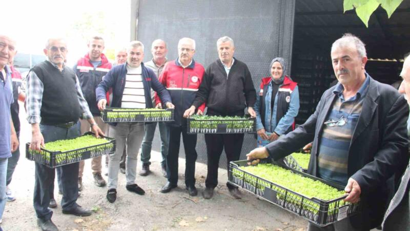 ineboluda 65 ciftciye 88 bin 400 adet sebze fidesi dagitildi wETJv6aj