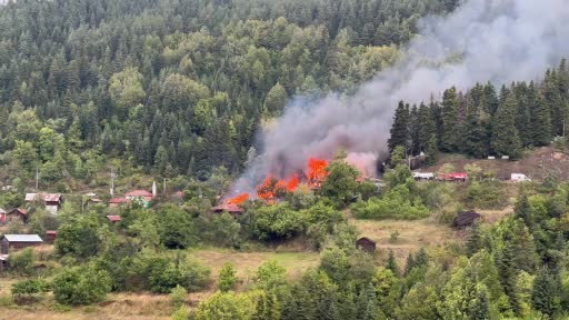 kastamonuda 4 ev alevlere teslim oldu vfrUF4c3